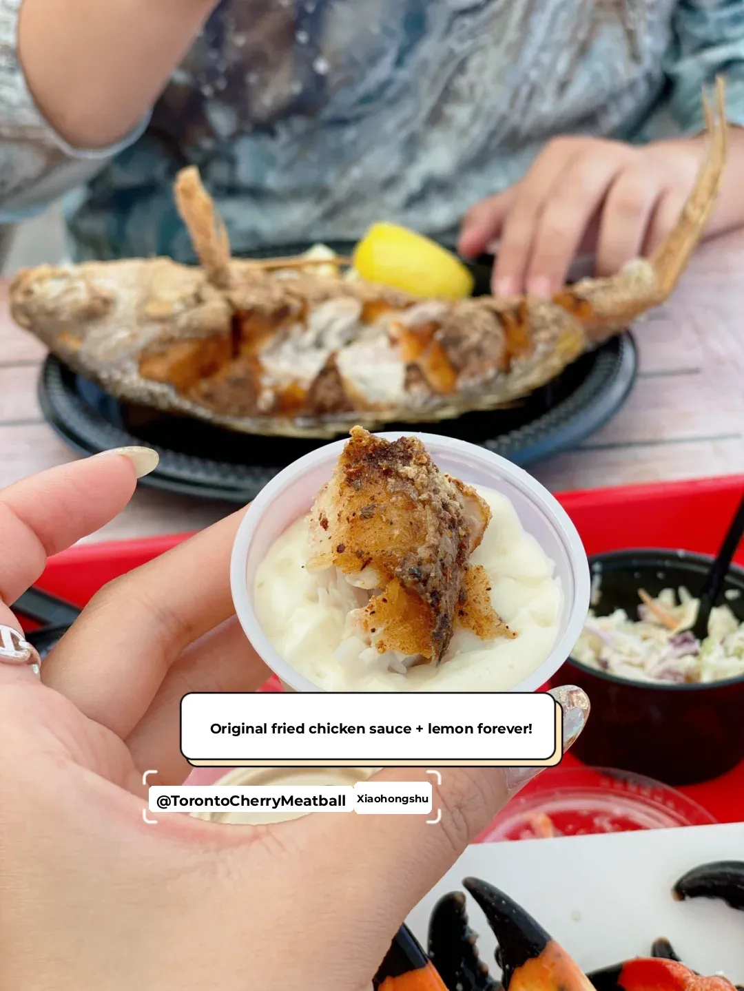 🇺🇸 Florida | Must-Try Snack Spots in Key West You Can’t Miss