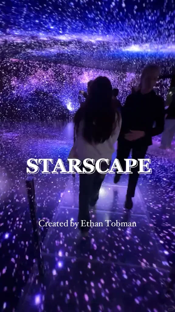 Free Attractions in New York: The Starlight Exhibition is Perfect for Photo Ops and Social Media Check-ins