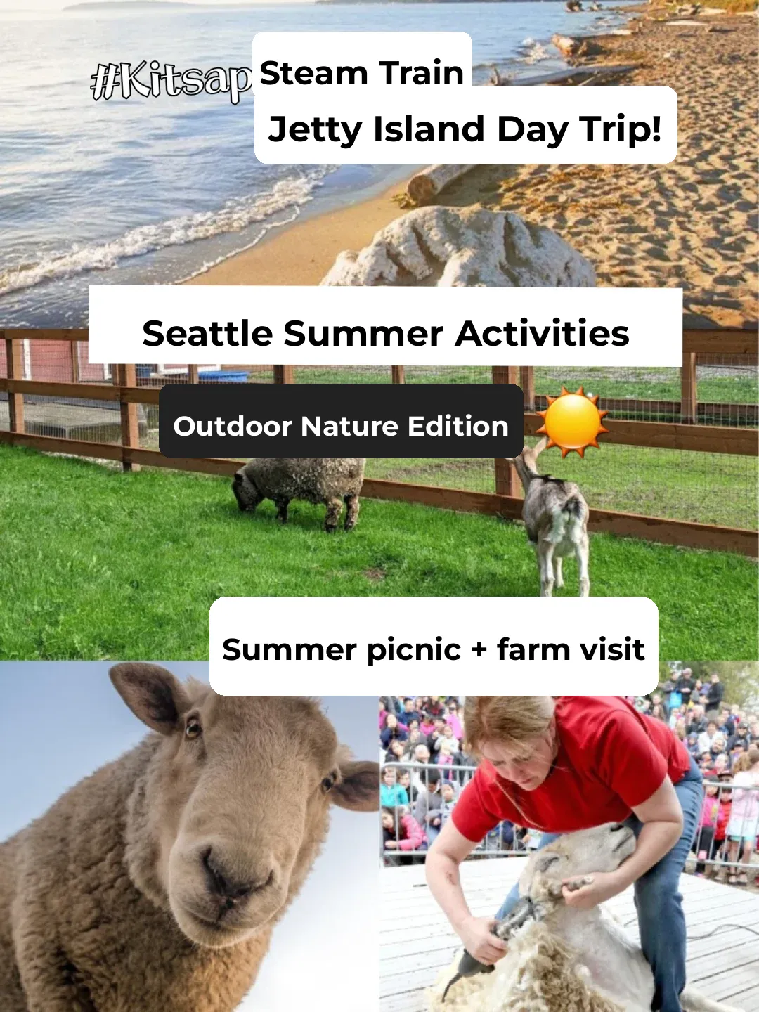 Seattle 🍼 Ultimate Summer Family Activities for Parents with Kids 🌞