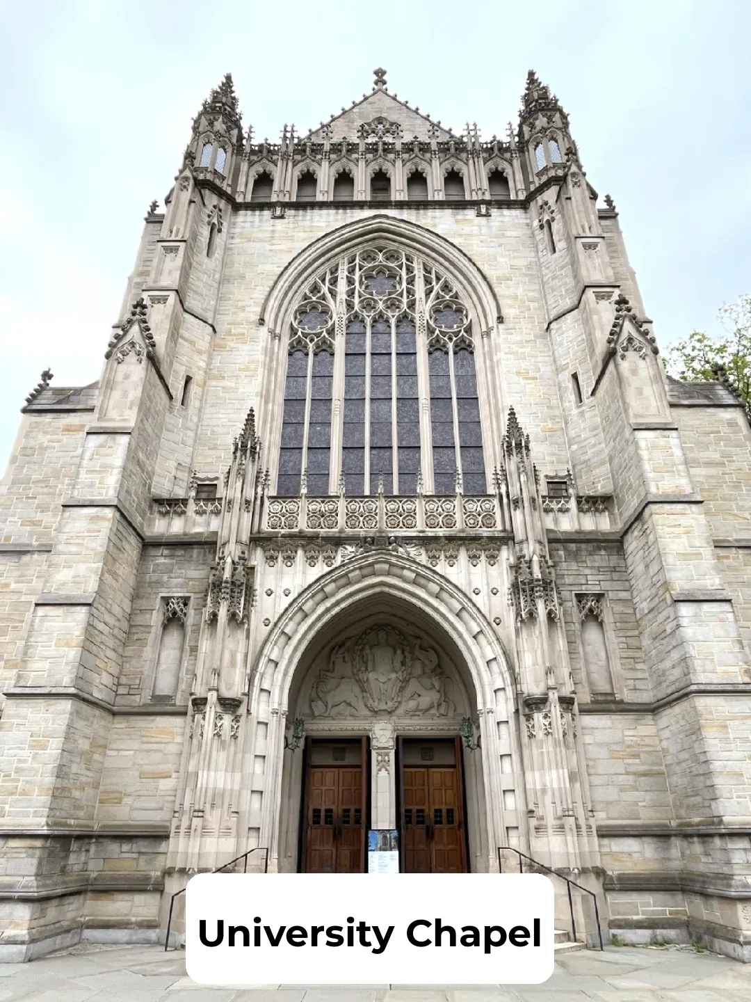 Einstein + Oppenheimer Ivy League Hotspots 📚12 Must-Visit Spots📍