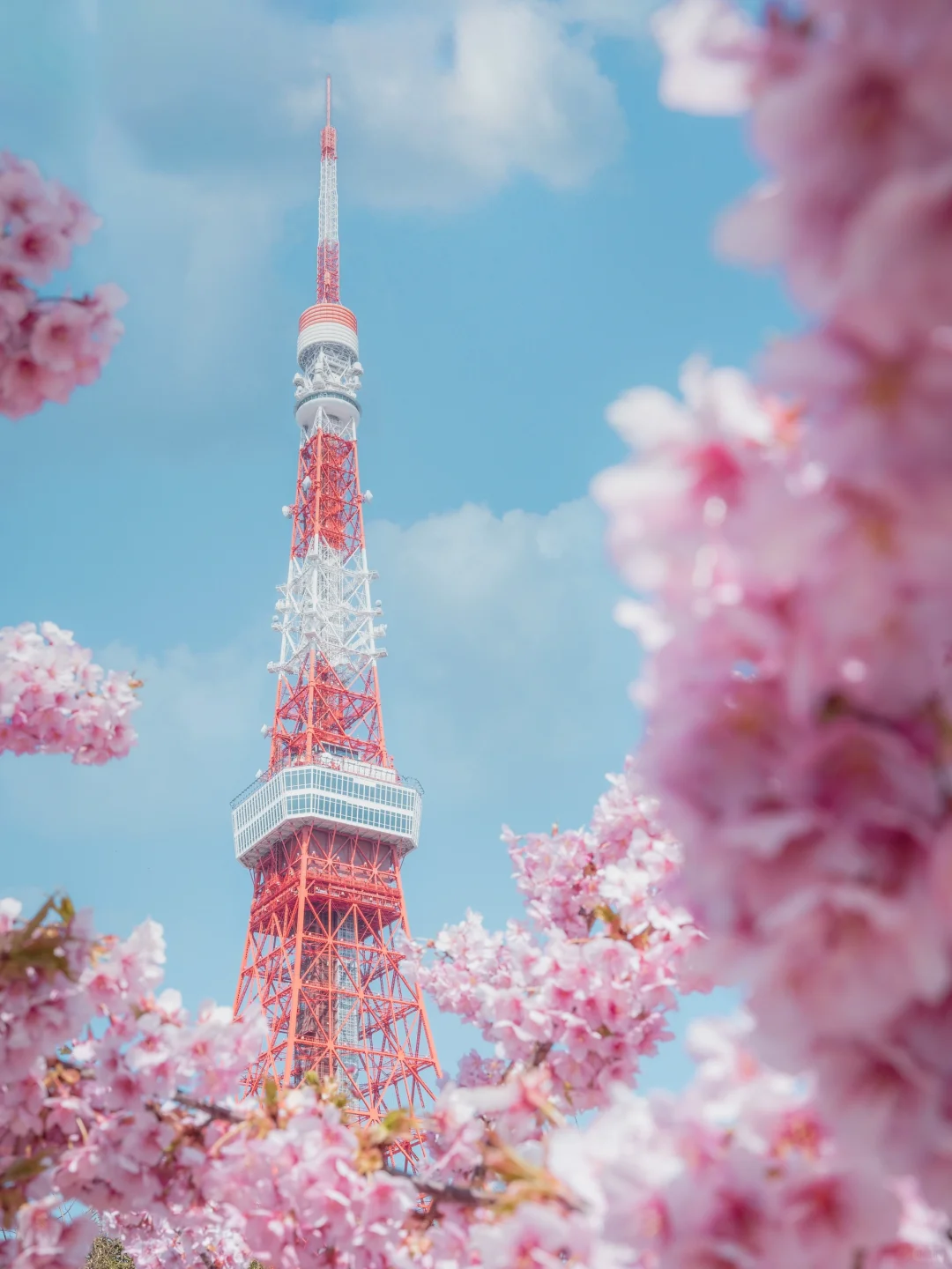 Ready to Capture: 18 Must-Visit Spots for 'Tokyo Sakura' Photography This Year 📸