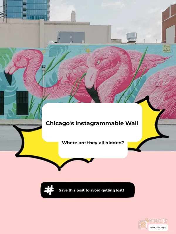 Wall" Must-See | A Complete Guide to Chicago's Instagram-Famous Walls 🦩📷