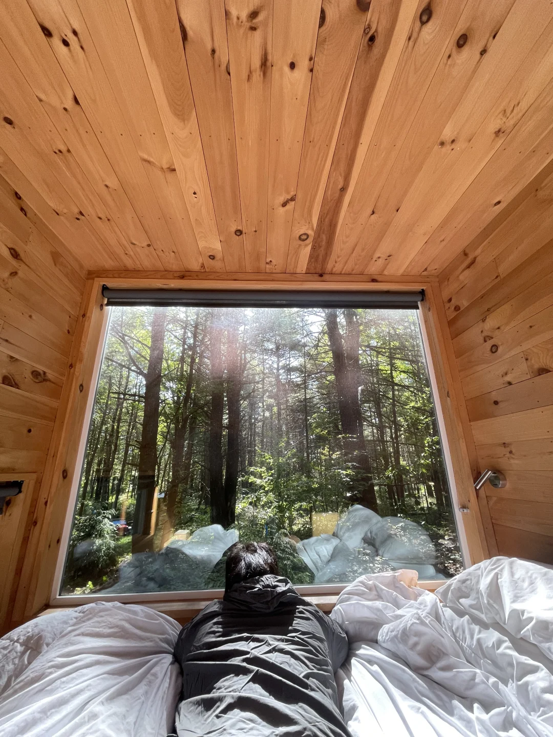 Catskill Cabin + � New Fishing Adventures