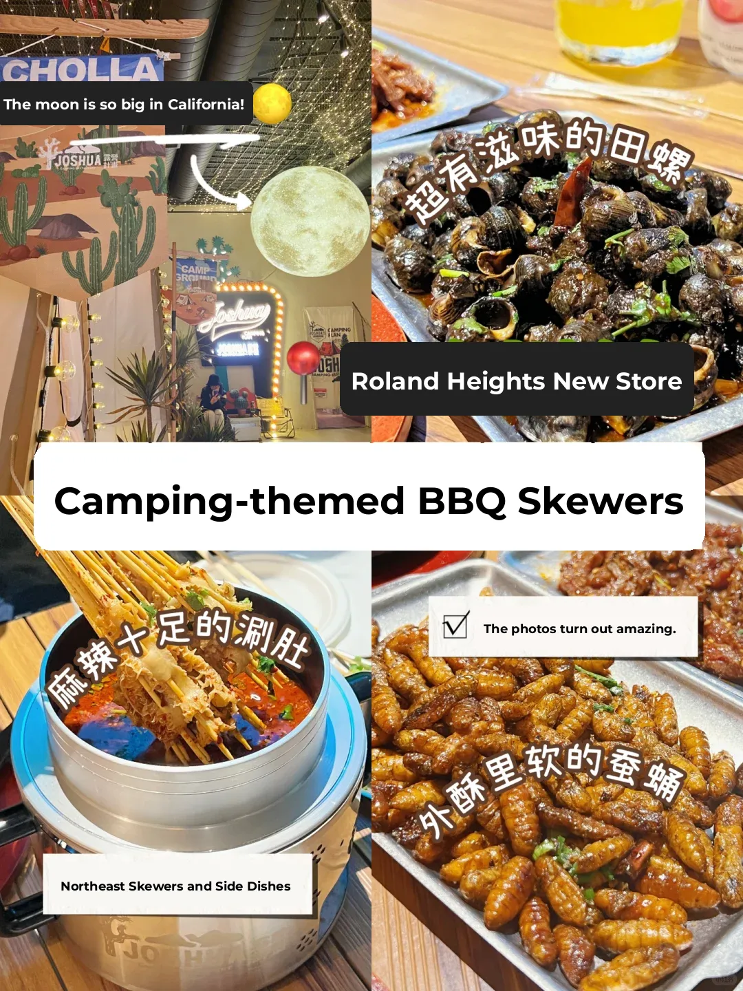 Rolling Hills New Spot 🌕 What's It Like Grilling Bugs at a Campsite⁉️