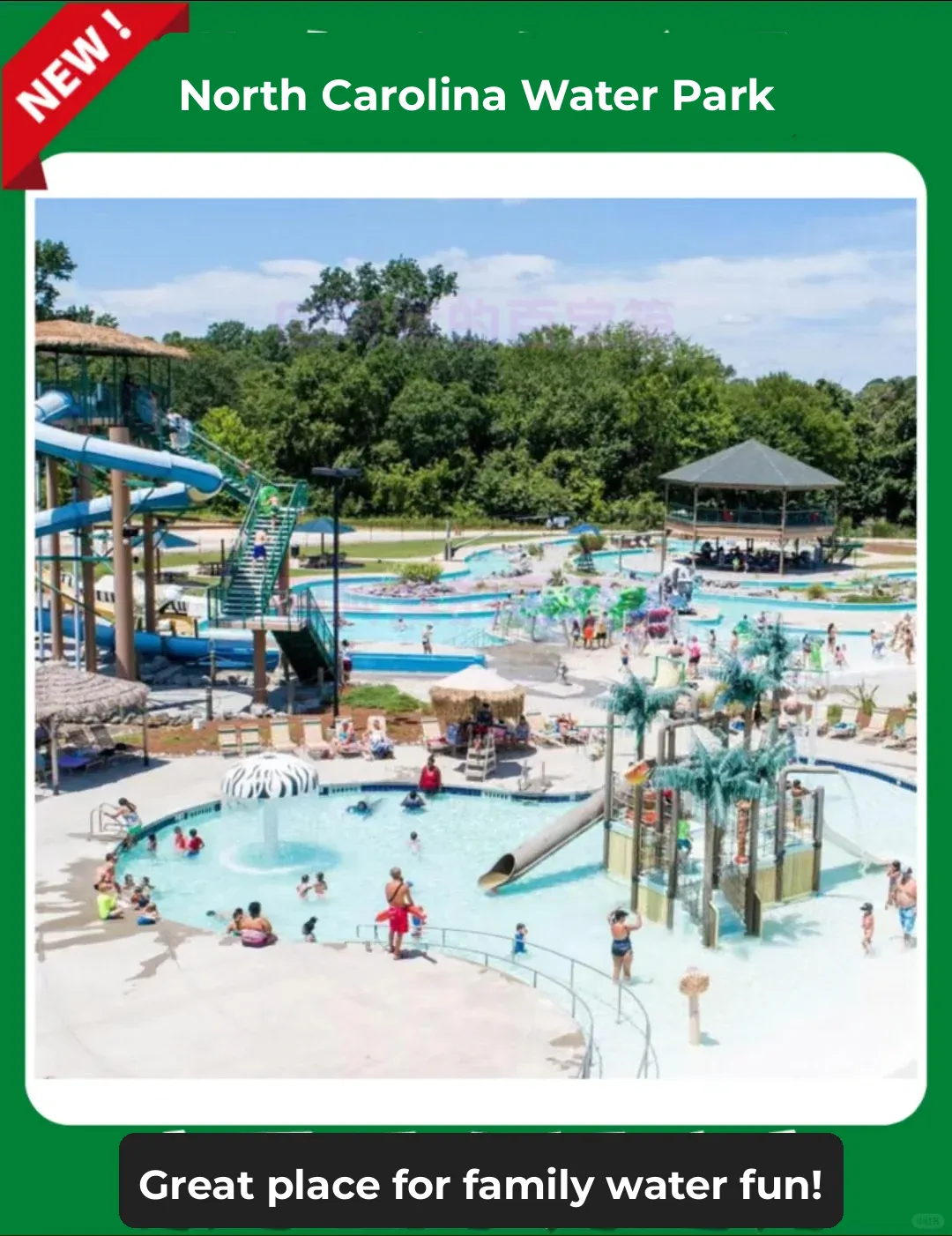 Summer Getaway☀️ Splash & Play🛟 Fun for All Ages