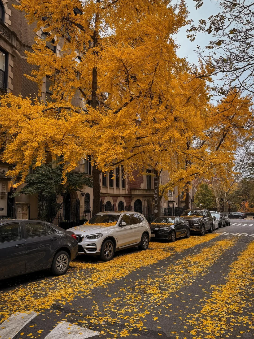 Upper West Side NYC CityWalk Route 🍂 Dive into Autumn Movie Magic
