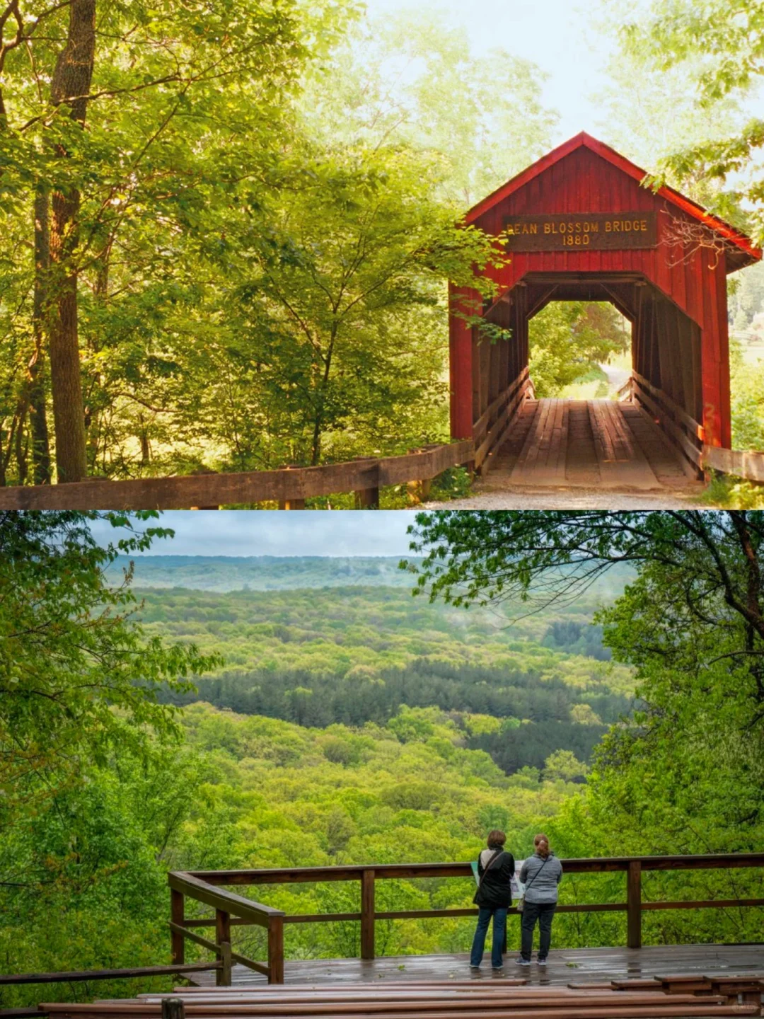A Soulful Journey Exclusive to Chicagoans 🍃 Amazing State Parks Nearby