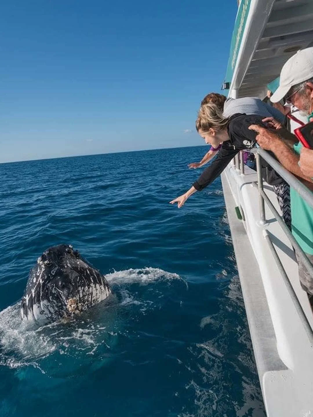 San Diego Downtown Must-Visit Attractions Checklist! Never Get Lost on Your Travel Adventures