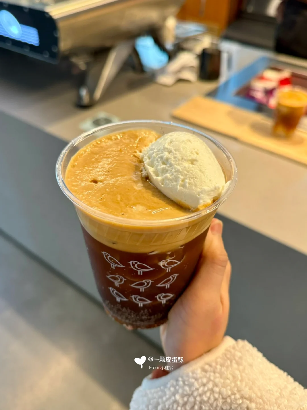 Andytown's Snowy Plover in San Francisco is a hit!