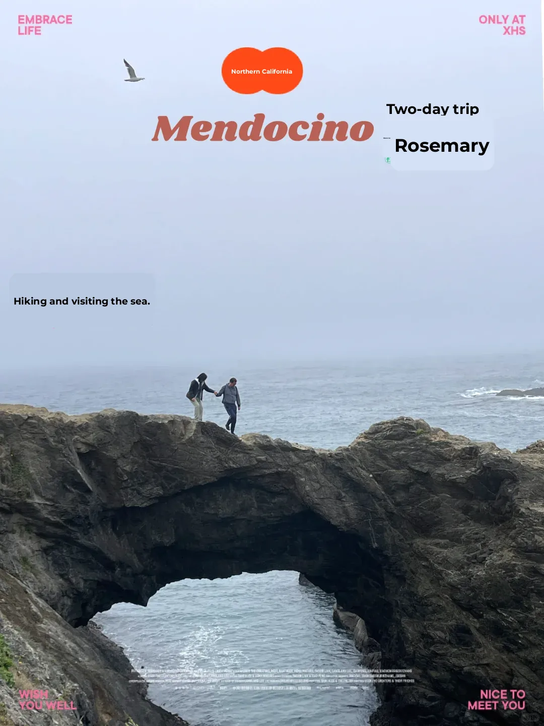 "Mendocino, NorCal 🌊🚗: Ultimate 2-Day Road Trip Guide"
