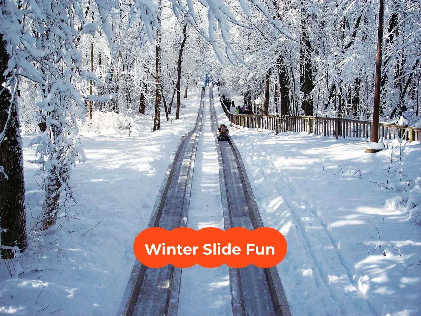 Around Chicago | Top Spots for Winter Tubing 🛝