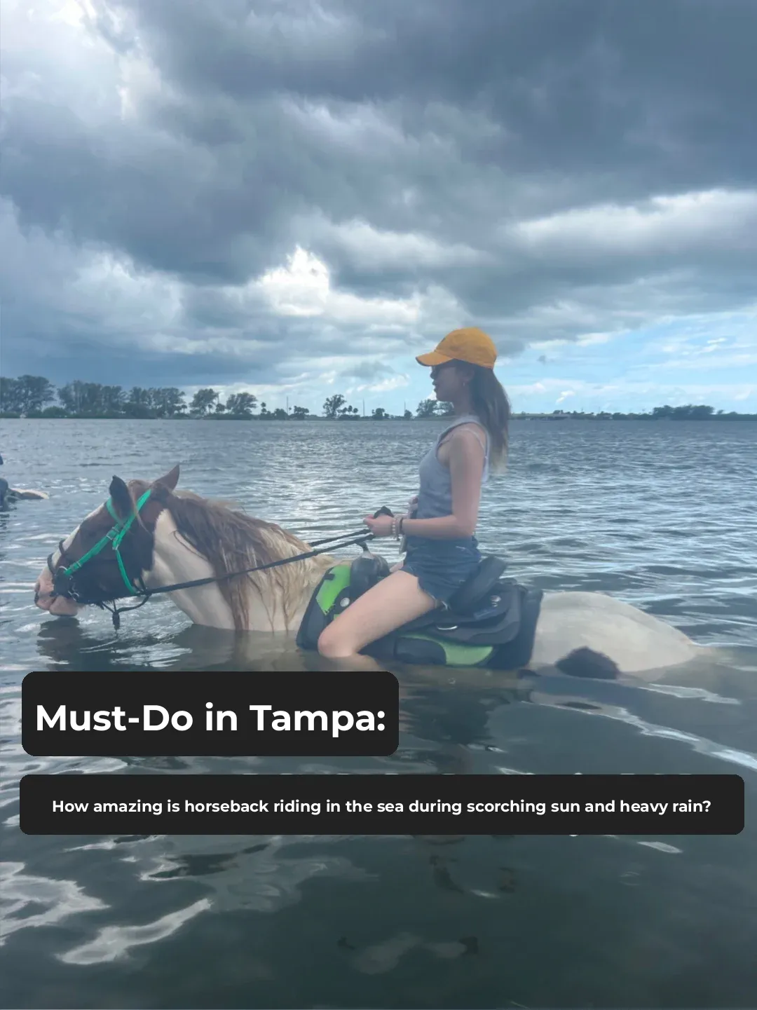 From Scorching Sun to Torrential Rain: A Complete Record of Horseback Riding in the Waters of Tampa!
