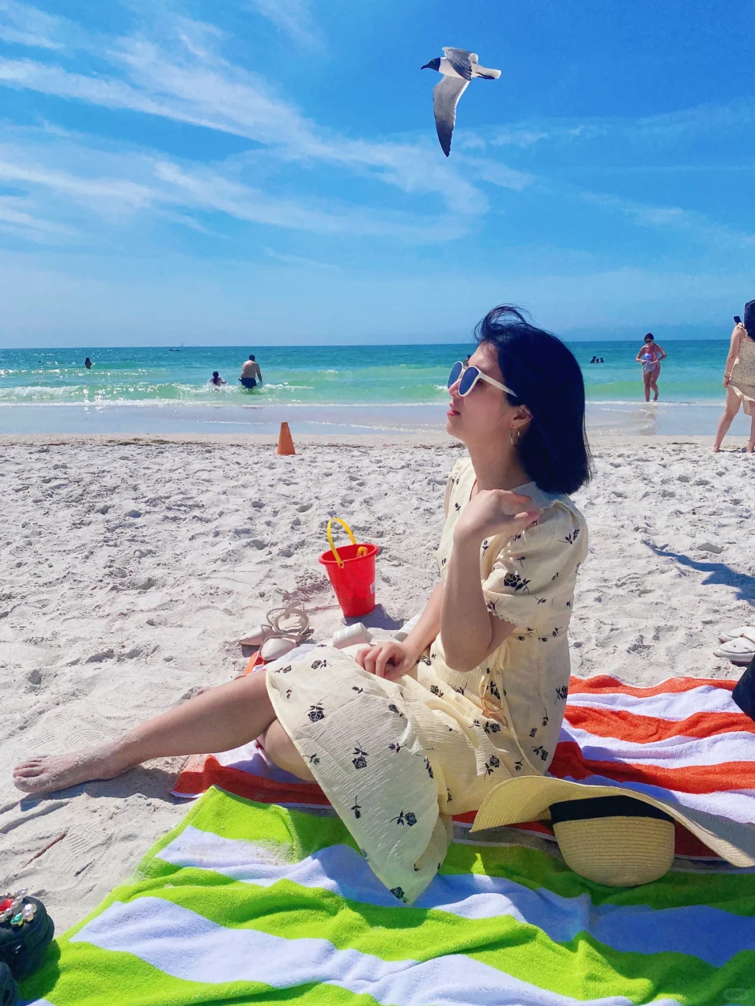 "Exploring the Most Beautiful Beach in the U.S. 🏝️【Florida】and Tampa Too!"