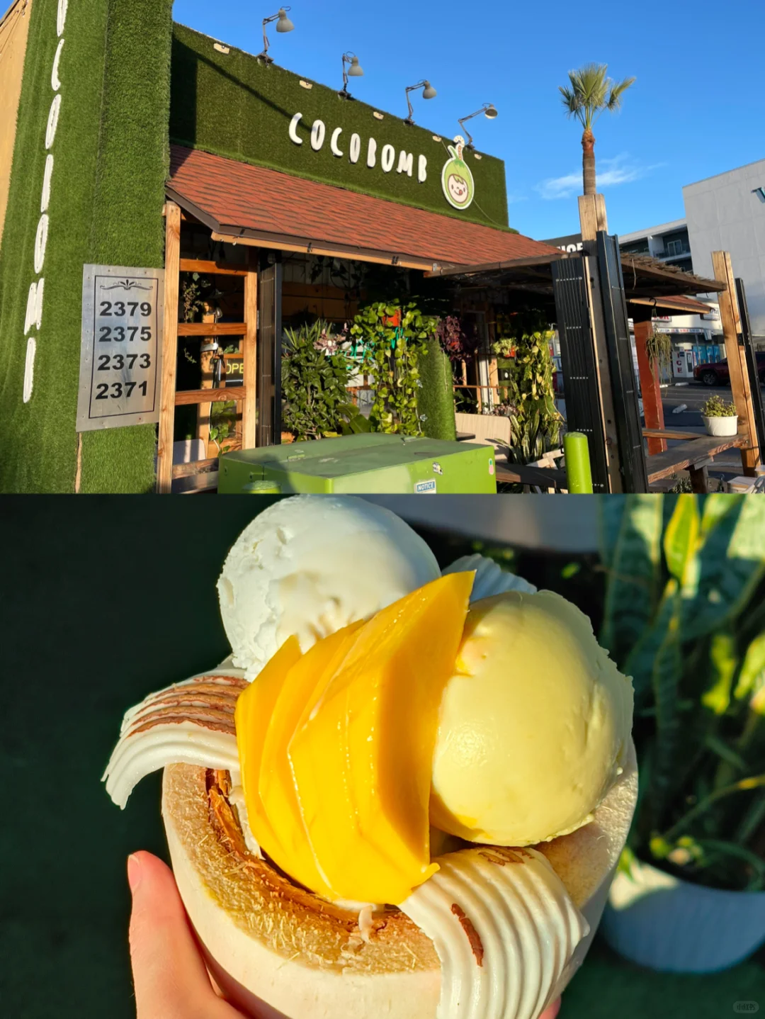 What to Eat in San Diego｜Acai Bowls, Tacos, and Raw Marinated Crab～Plus More 😆