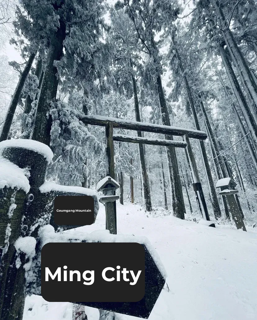 Snowy Spots Near Osaka | Mount Kongō