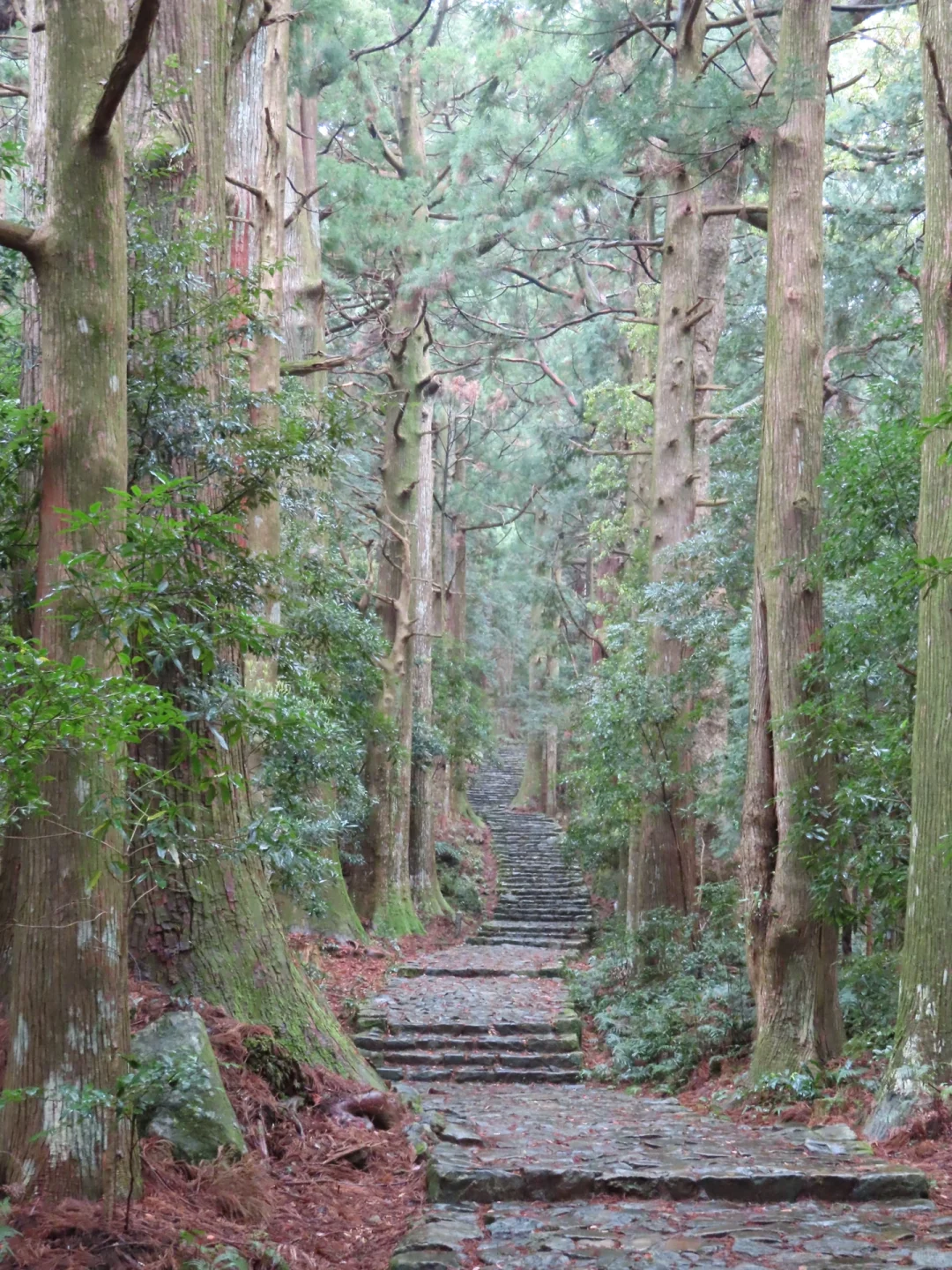 Day Trip from Osaka to Kumano Kodo: Totally Doable