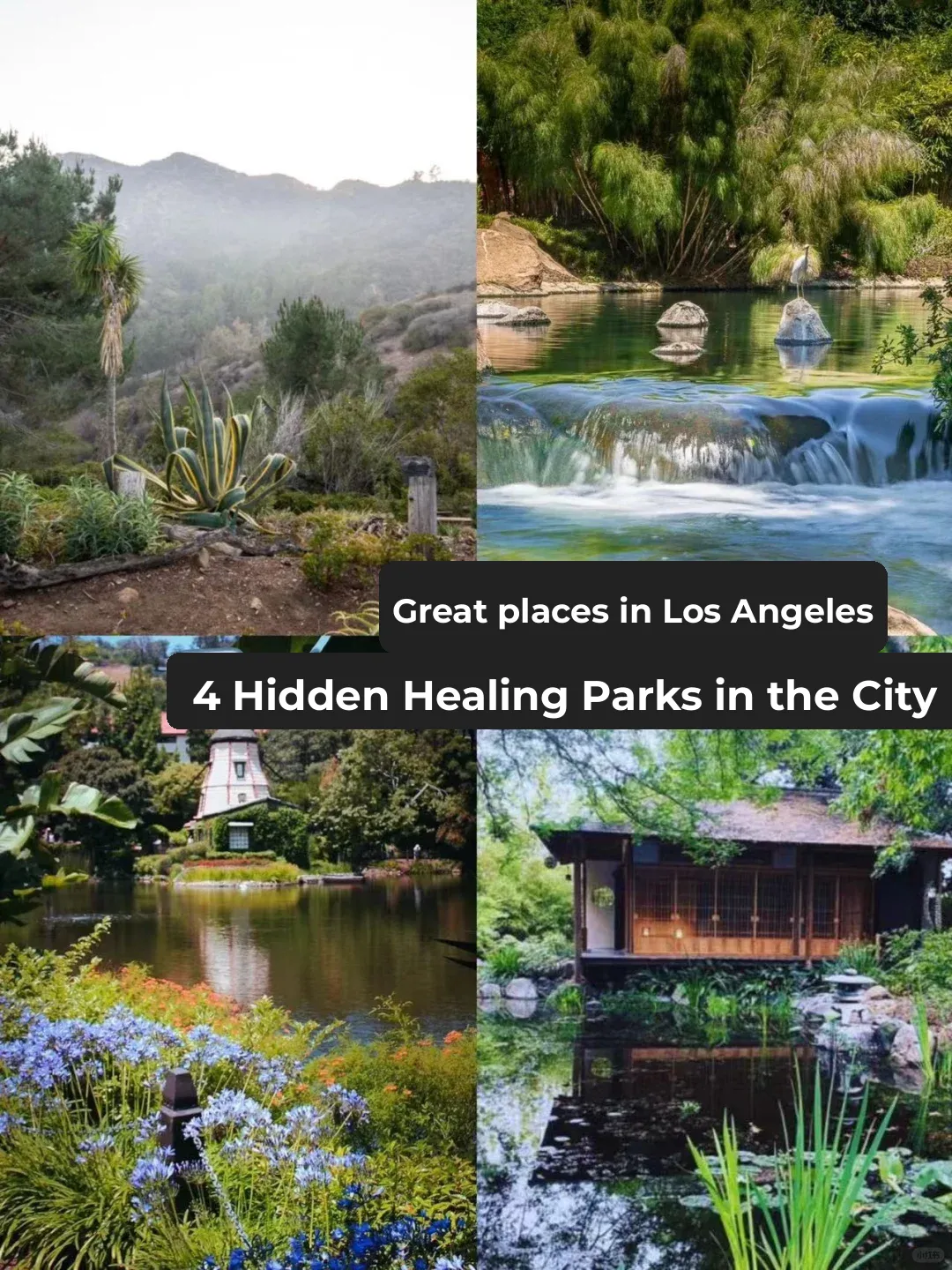 LA Hidden Gems: 4 Tranquil Parks in the City