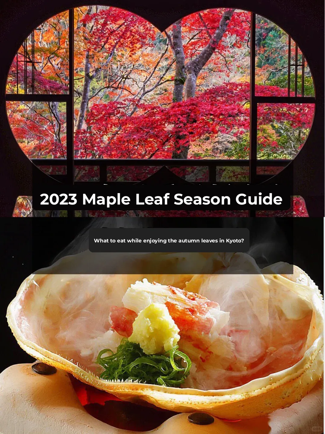 🆕2023 Best Fall Foliage Spots & Dining Guide (Kyoto Edition)