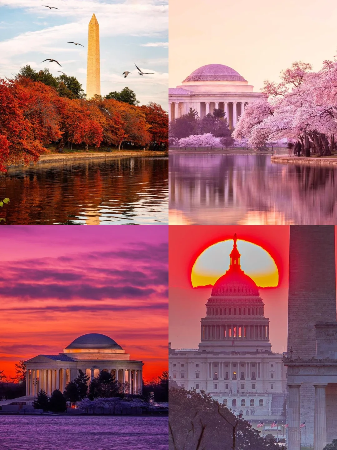 Sincere Recommendation! Traveling to Washington, D.C.? Check Out This Ultimate Map Guide Before You Go!