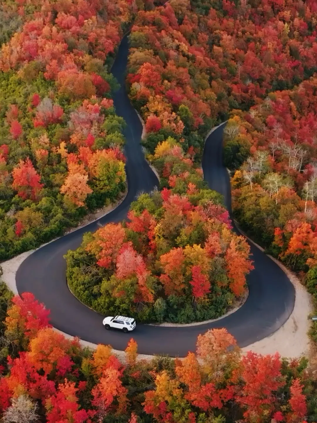 Best Fall Foliage Routes Around Salt Lake City 🍂