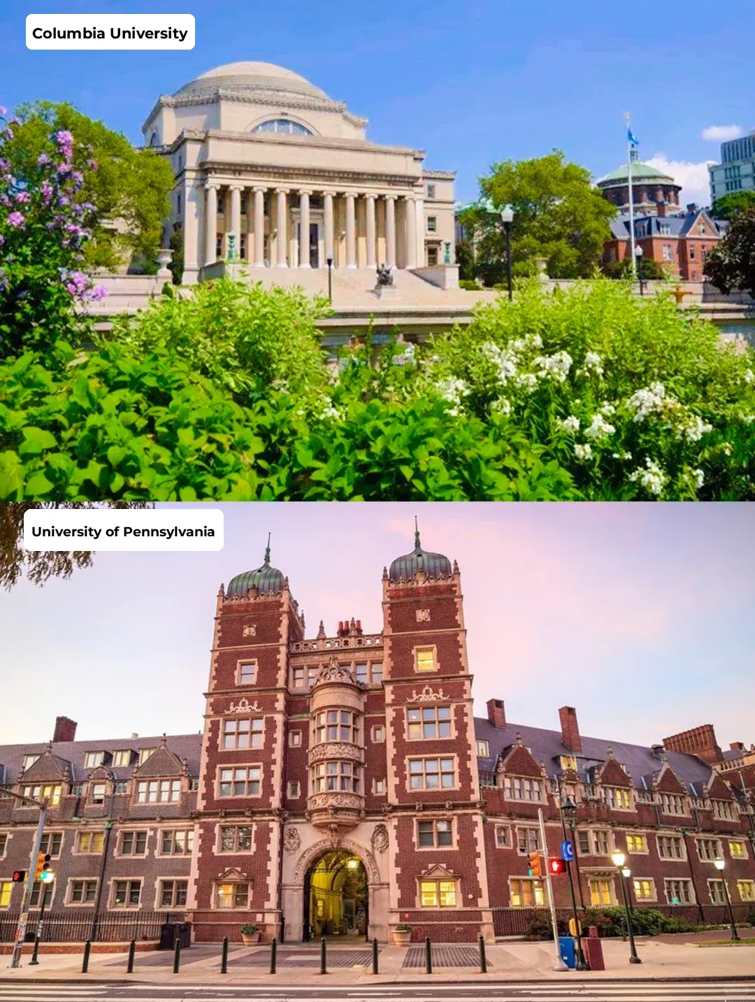 📝2024 USA Travel Guide ✨ Must-Read for First-Time Family Trip with Kids