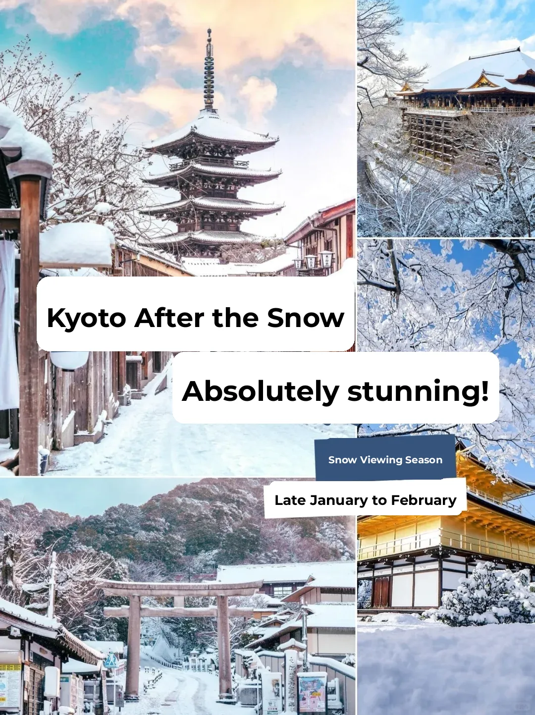 😍 Absolutely Stunning 🎏 Kyoto Snow Viewing Guide: All You Need in One Post