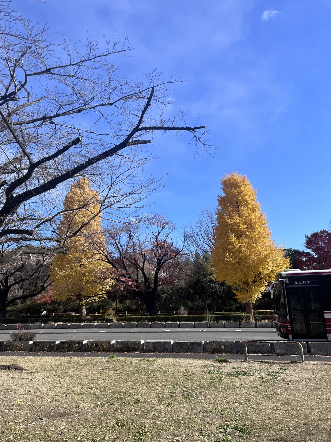 Weekend Getaway Near Tokyo‼️ Free BBQ Campsite ⛺️
