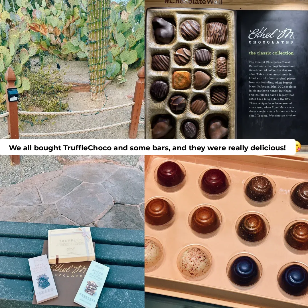 🇺🇸Top Shopping Malls and Unique Stores to Explore in Vegas