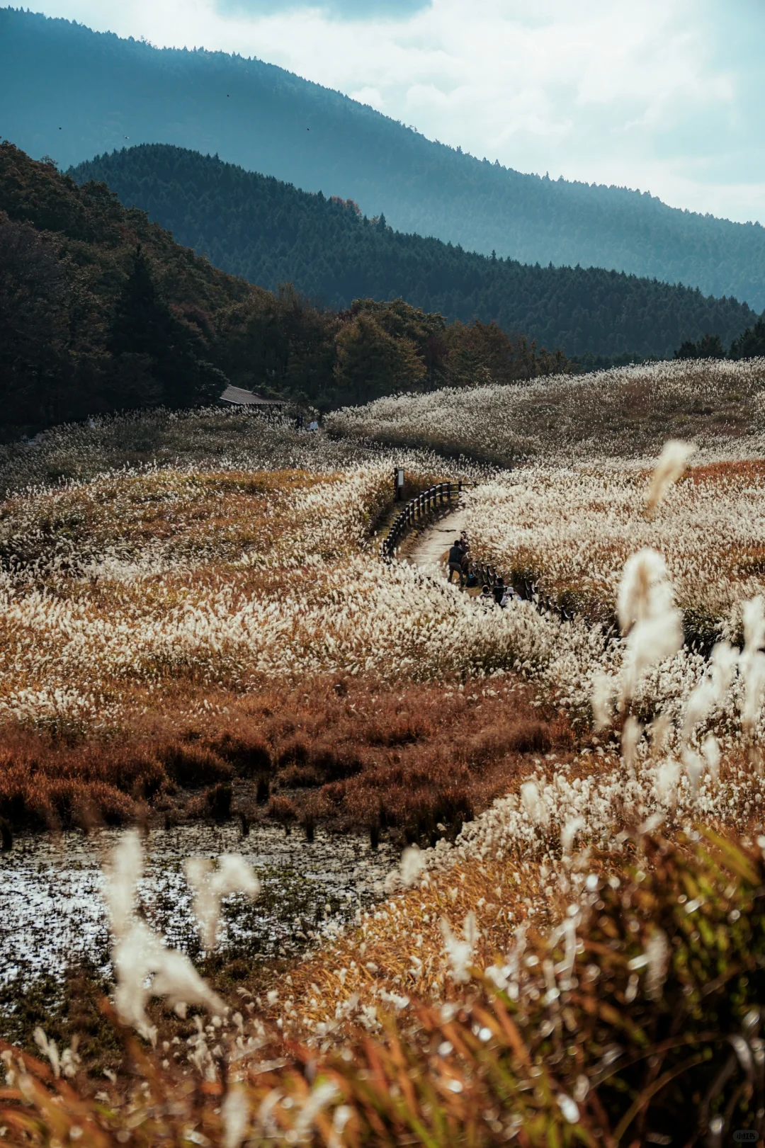Caught the Scene from a Painting | Mount Zenger Highland | Day Trip from Kyoto to Osaka
