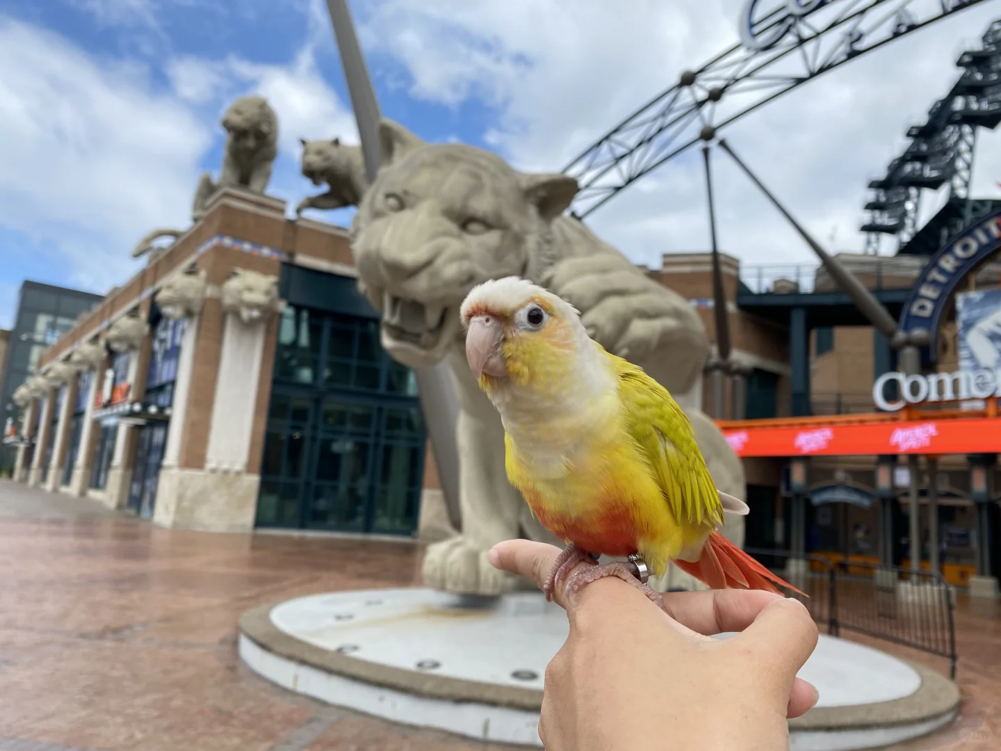 Landmarks in Downtown Detroit📍