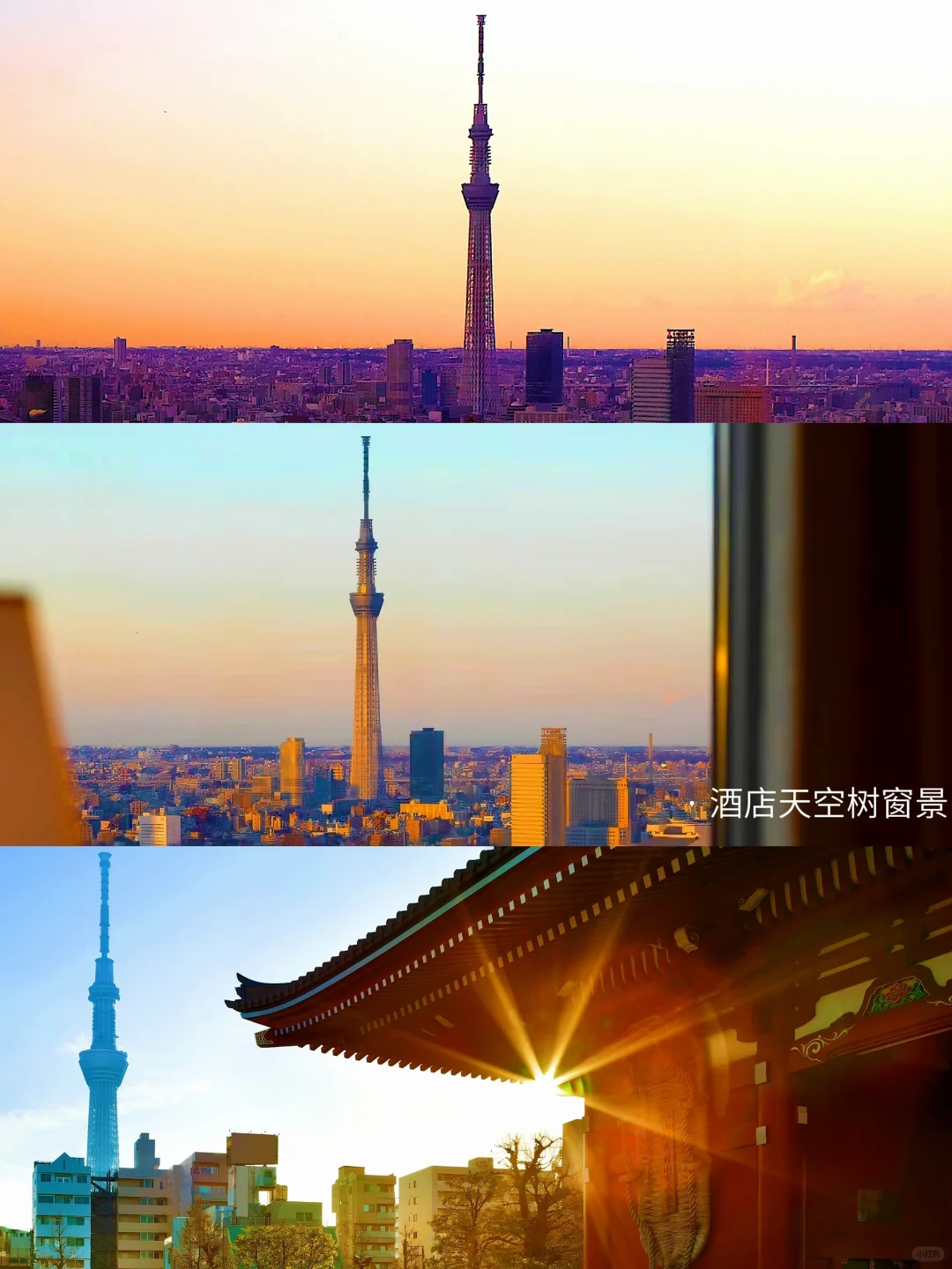 Upcoming Tokyo is the ultimate autumn travel destination!