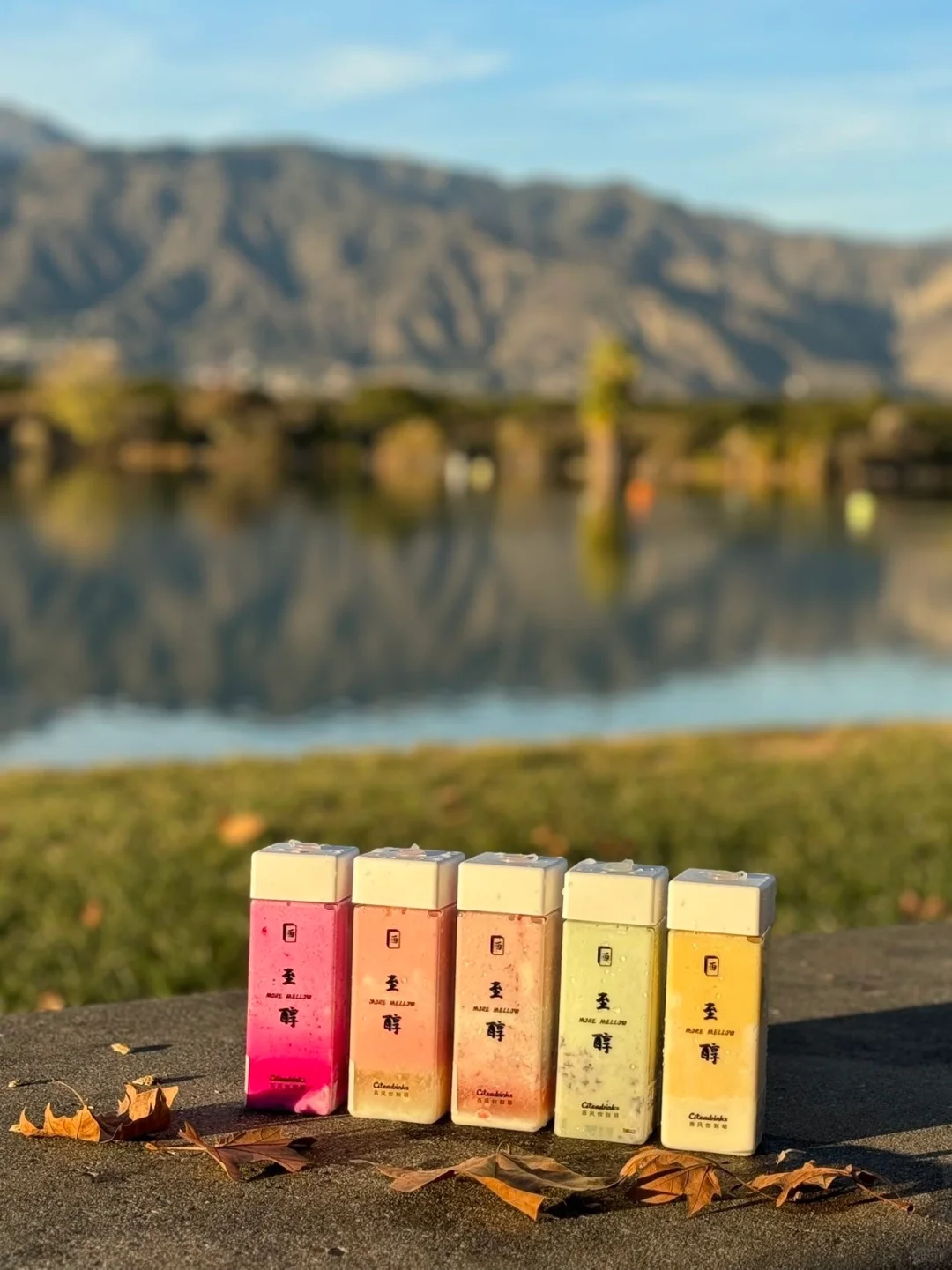 🌿 LA｜The No-Frills Milk Tea Revolution