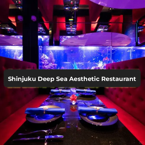 "Shinjuku's Deep-Sea Themed Aesthetic Restaurant 🍴 Afternoon Tea Date with the Perfect Ambiance"