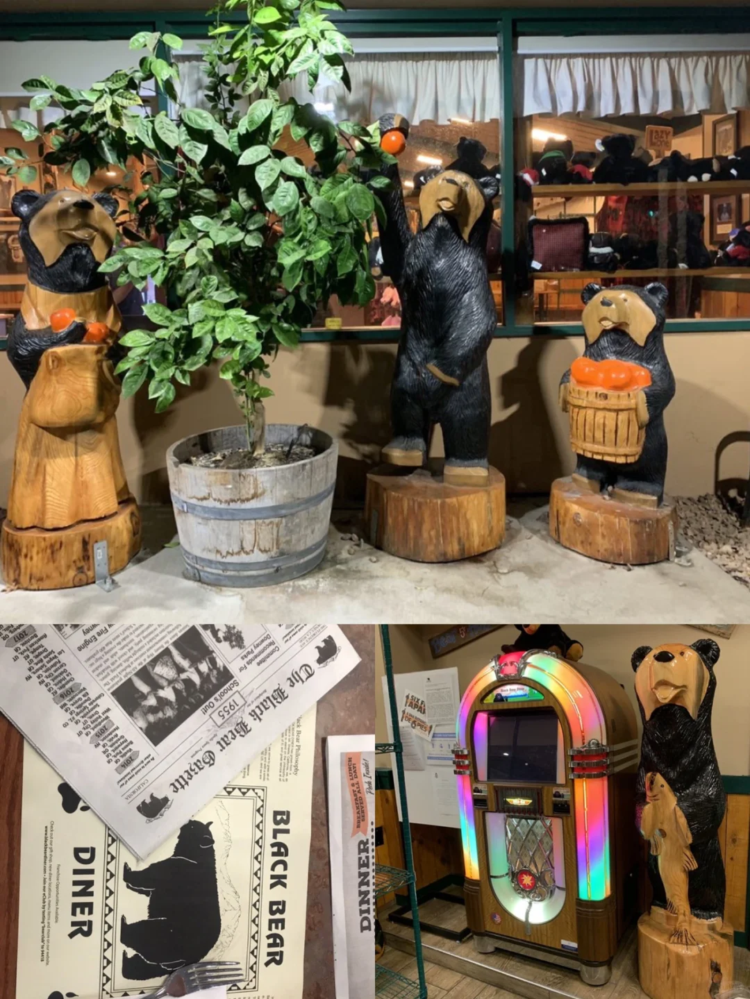 North America's Quirky Themed Shops ‼️ Embracing Niche and Thrills ✅