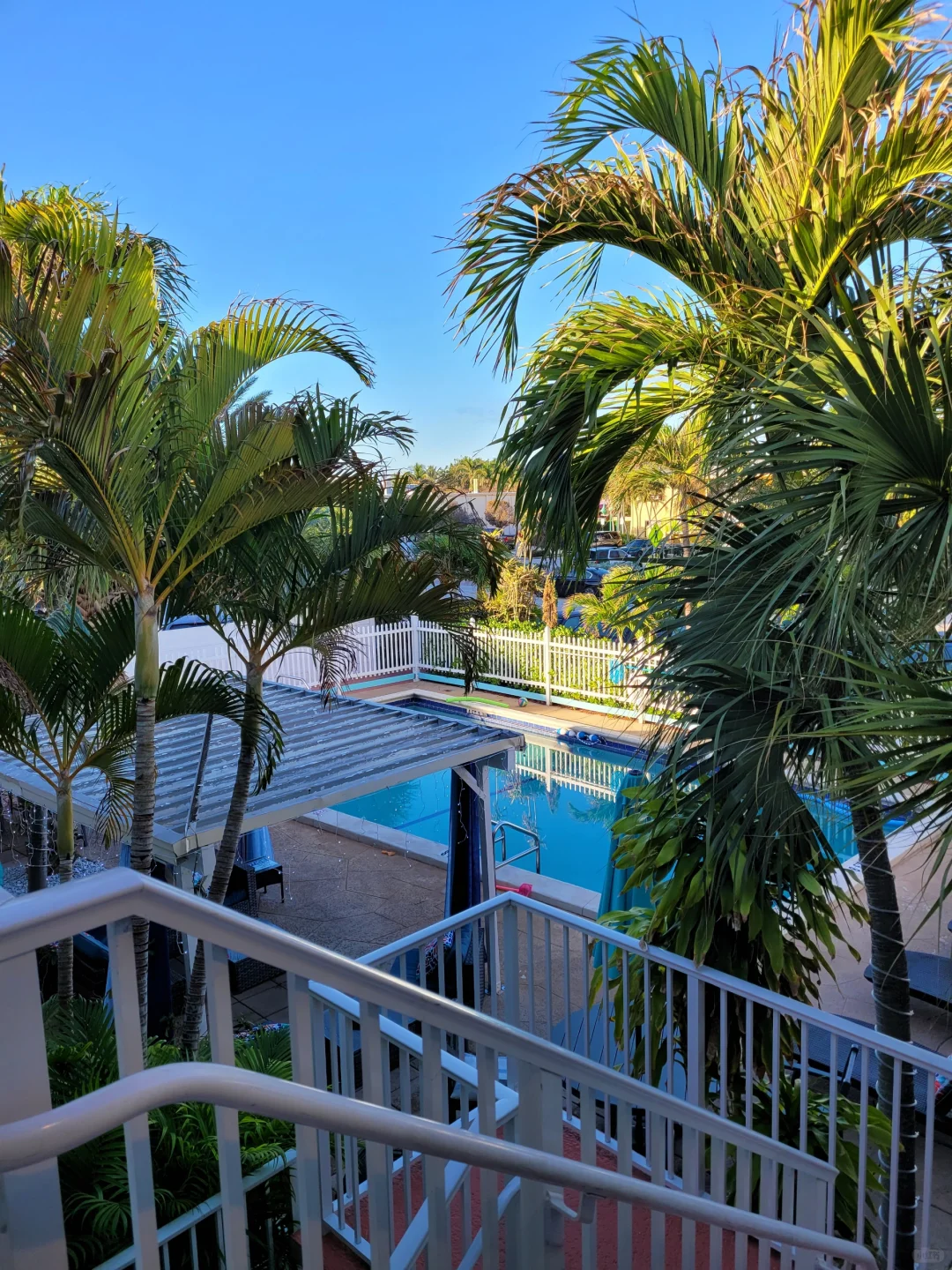 Top-Rated Miami Area Hotels: Budget-Friendly Gems