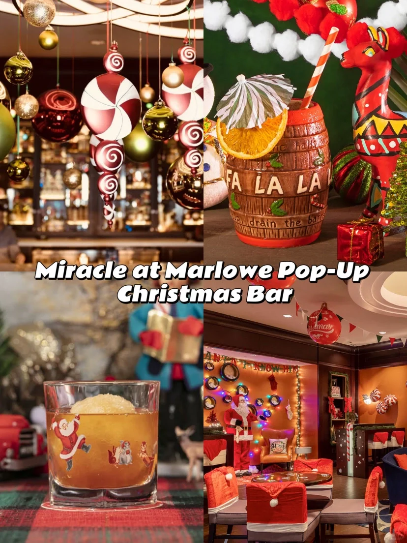 "Boston Christmas Special‼ 5 Must-Do Festive Activities to Keep the Holiday Cheer Going Till Year-End"