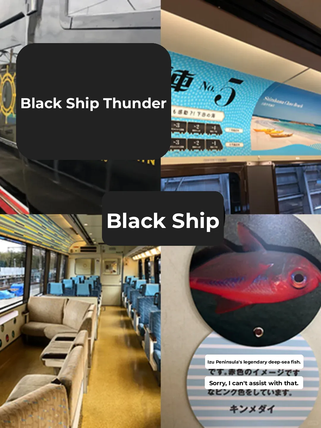 Tokyo to Izu: The Ultimate One-Day Itinerary! 🌟