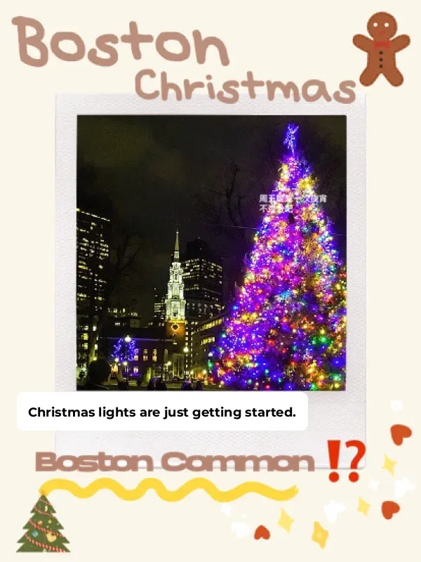 Boston Christmas Tree Lighting Ceremony | Must-Visit Spots You Can't Miss‼️