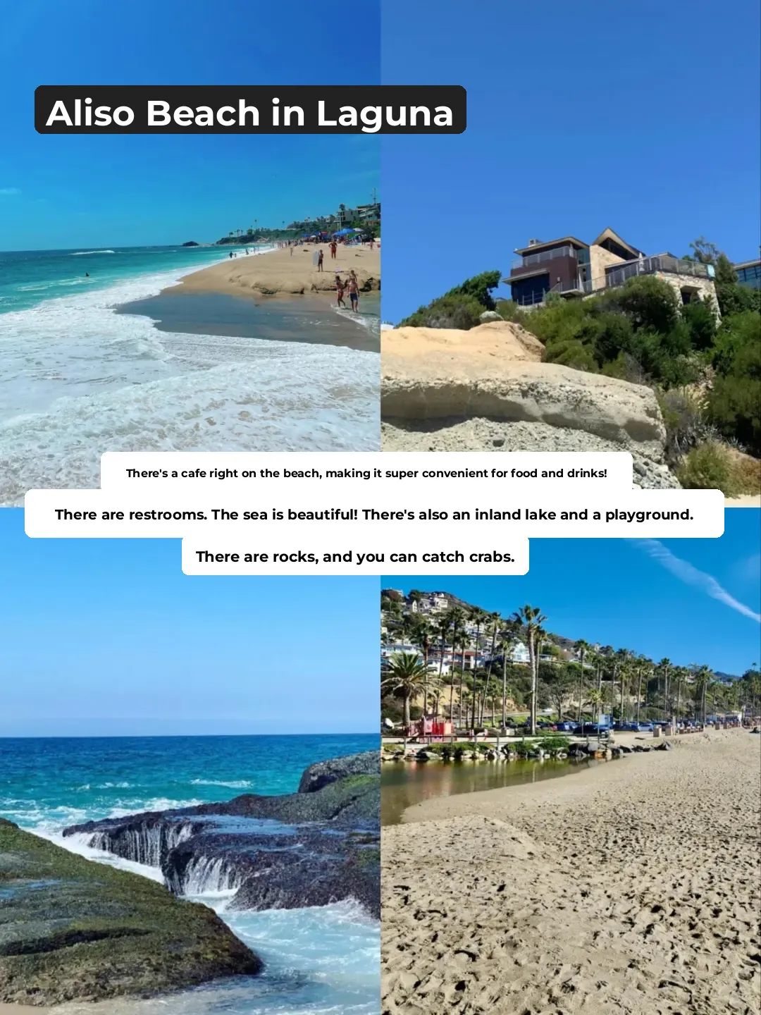 🇺🇸 Irvine Family Fun: Best Spots for Shelling Adventures!