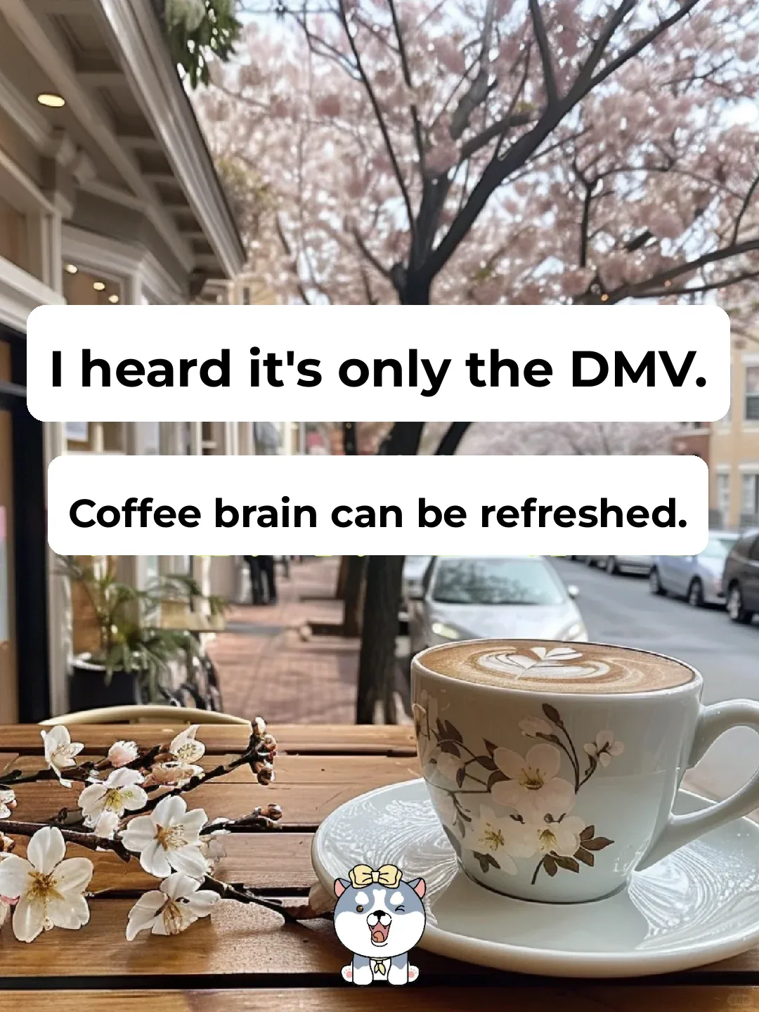 Only the Coffee Enthusiasts in DMV Can Stumble Upon This