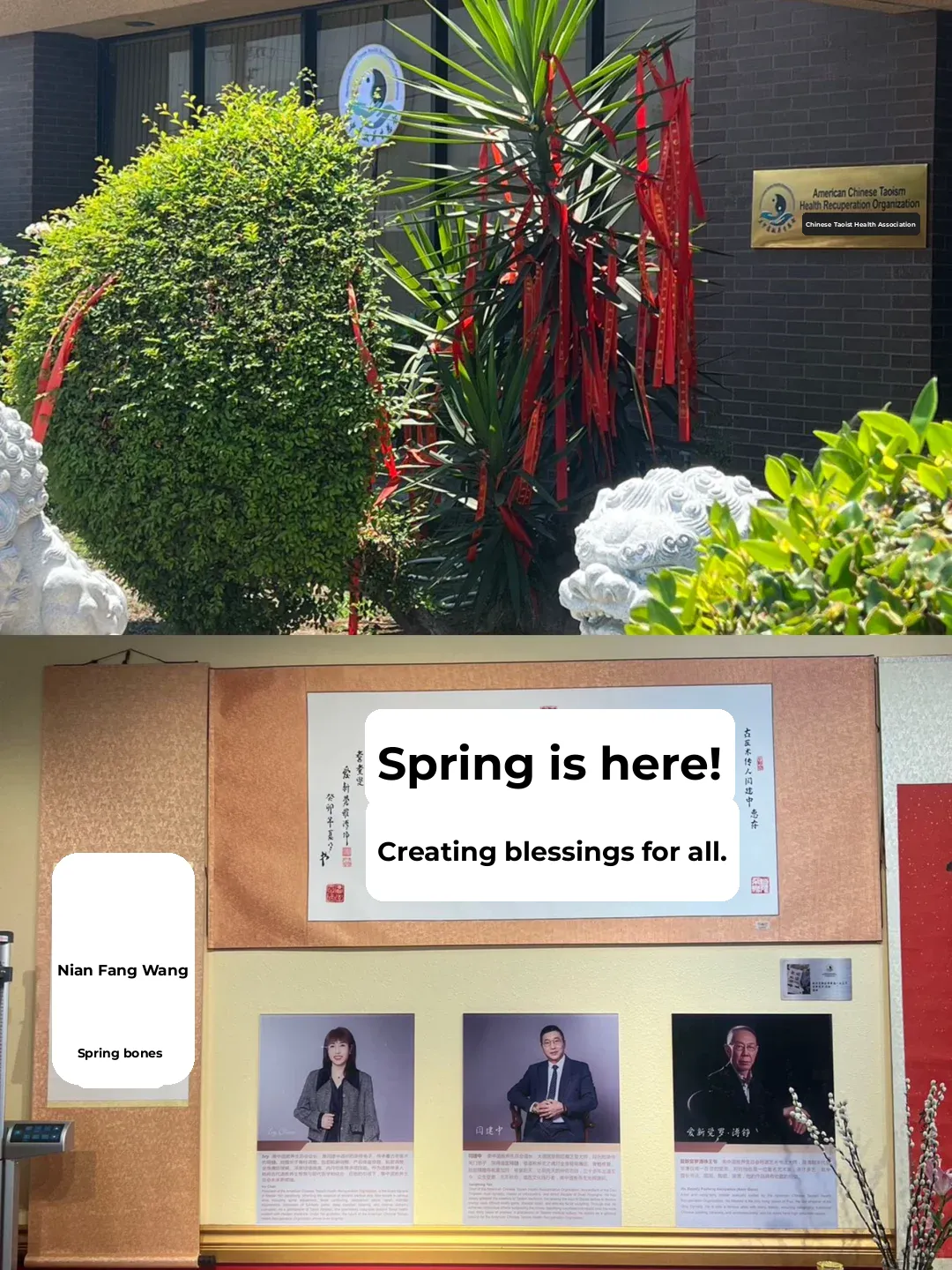 Ancient Chinese Daoist Bone-Setting in LA 🇨🇳 Perfect Weekend Relaxation Spot