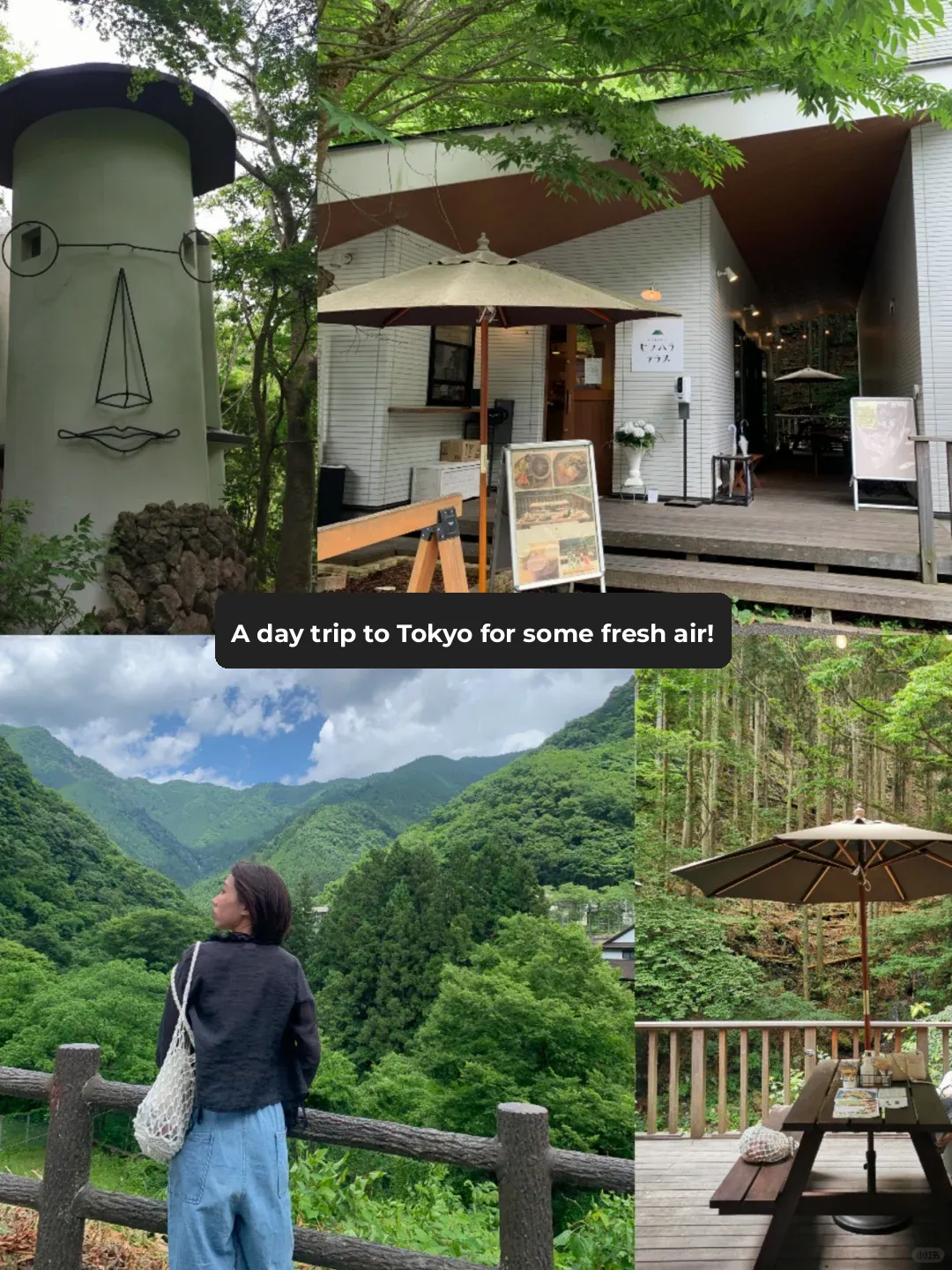 Tokyo | Even in the City, You Can Breathe Deeply and Freshly 🌳!!