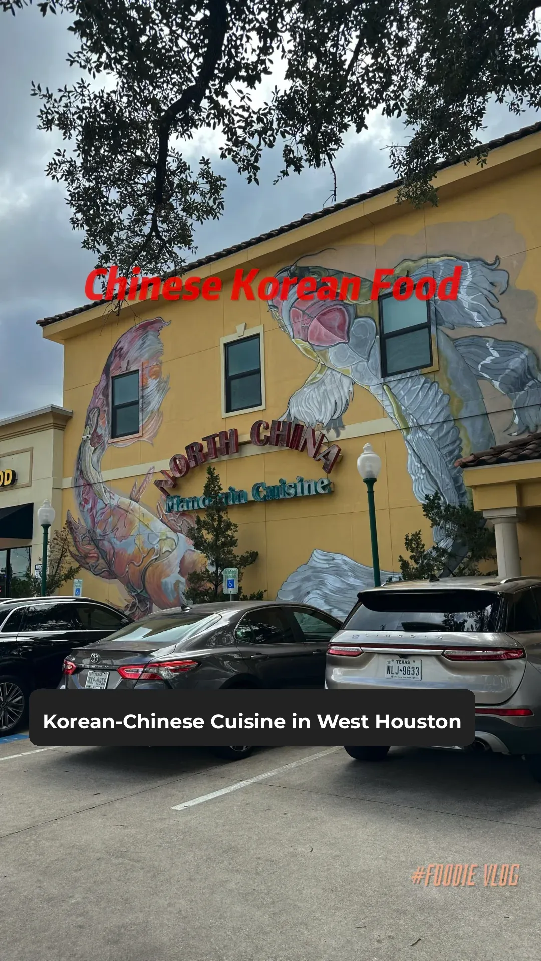 Houston's Chinese-Korean Restaurants