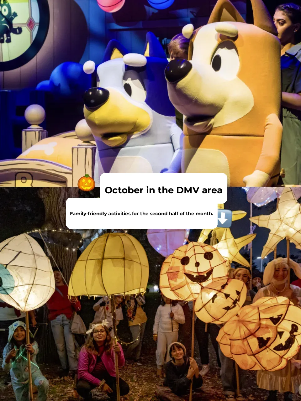🎃 Top Family-Friendly Activities in the DMV for the Second Half of October 🍂
