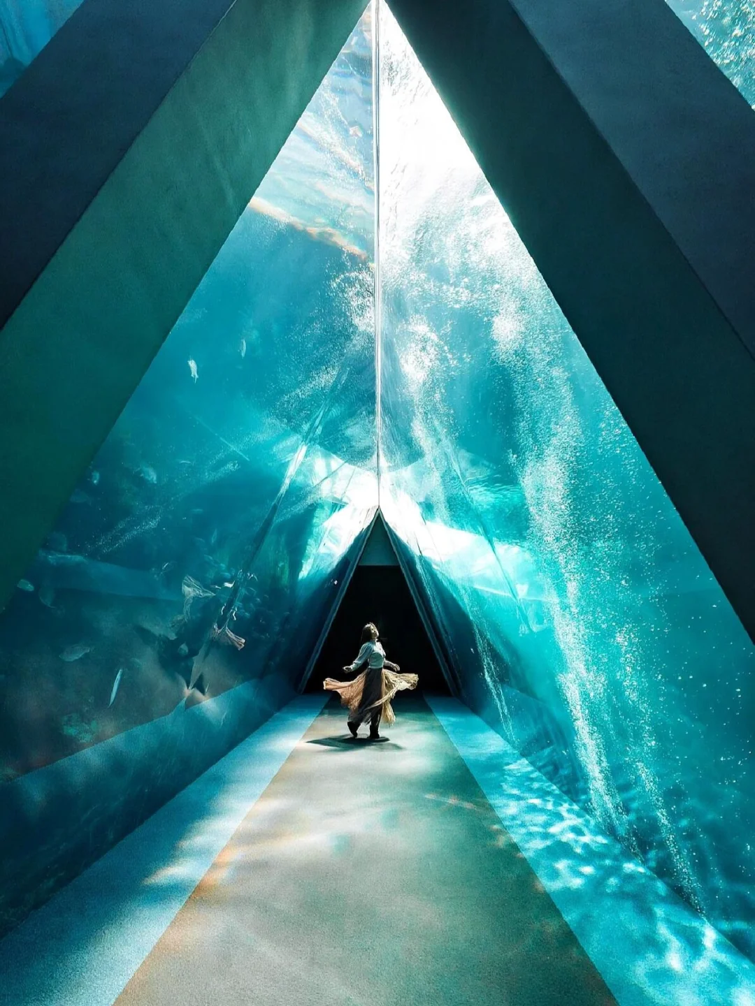 Japan's Aquarium 🐟: Must-Visit for Stunning Photos at the Tidal Sea Tunnel!