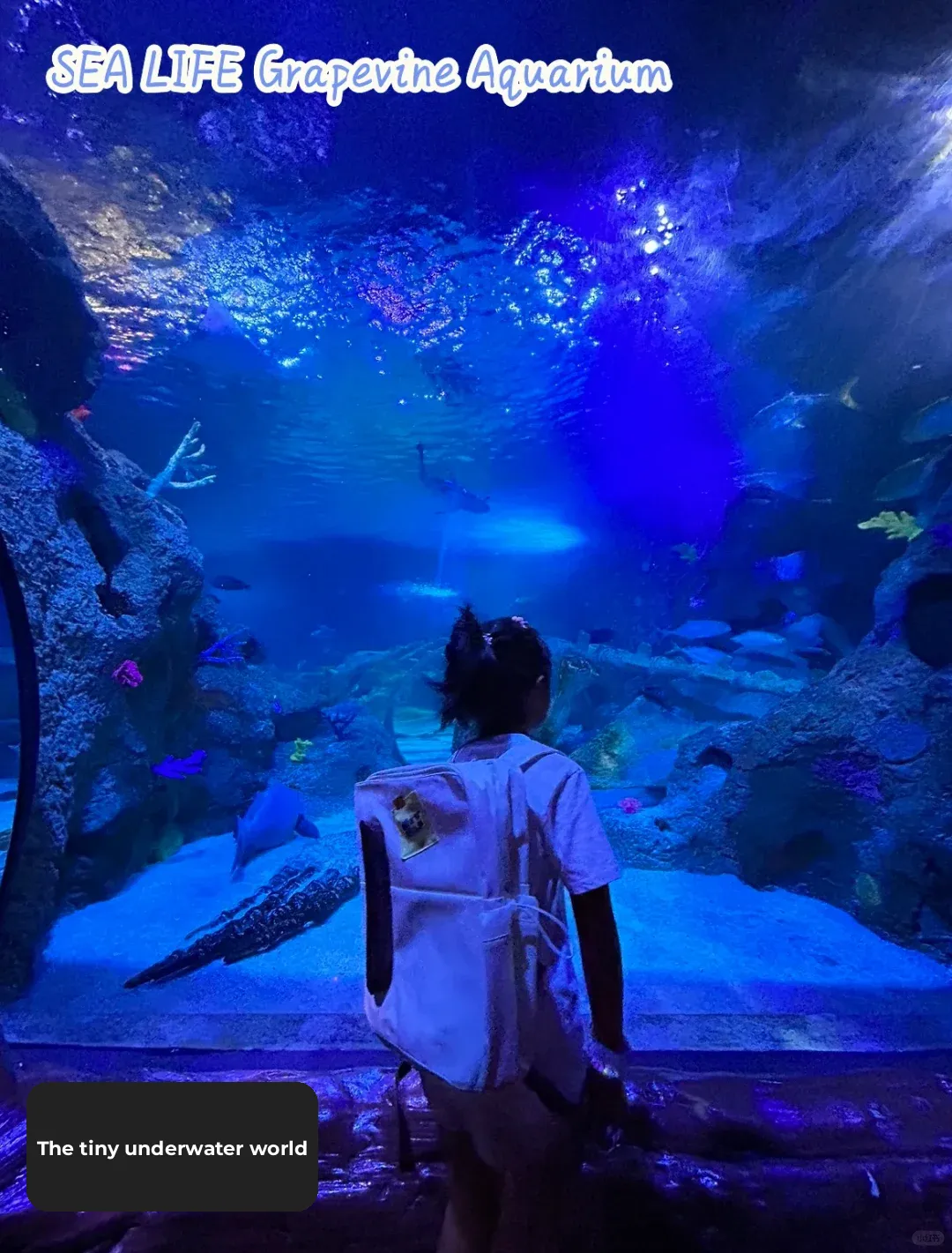 Great Spots for Kids in Dallas | Grapevine Mills