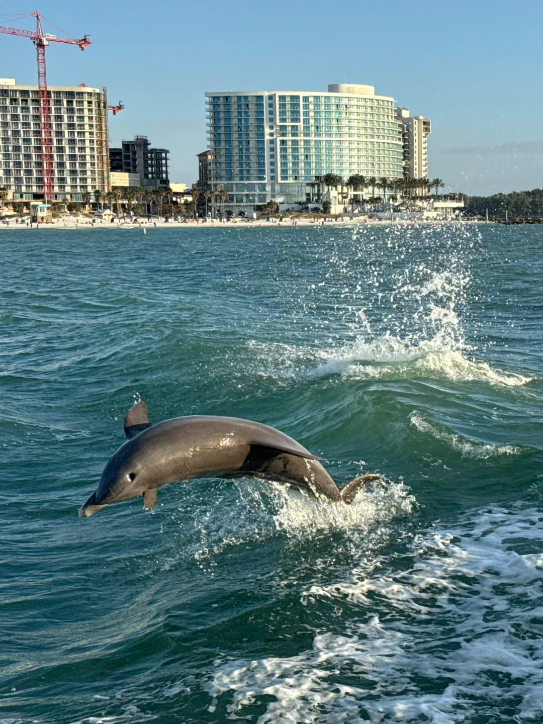 Oops, I’ve Got Tampa Syndrome…