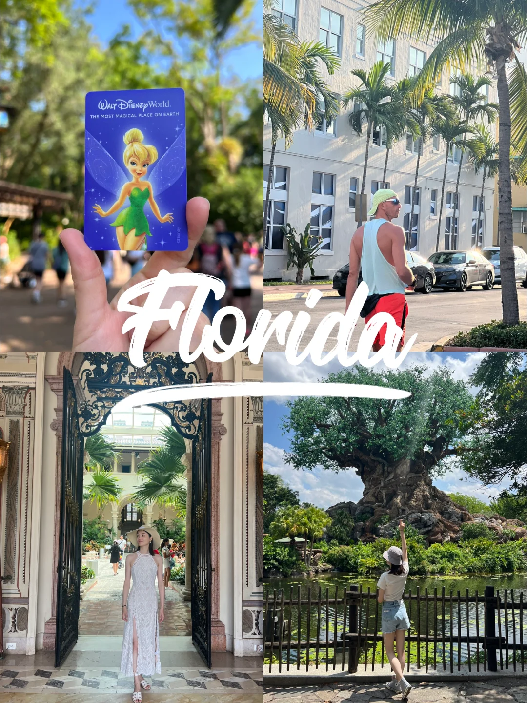 🇺🇸 Florida Doesn't Play Around (Detailed Guide Inside! ‼️)