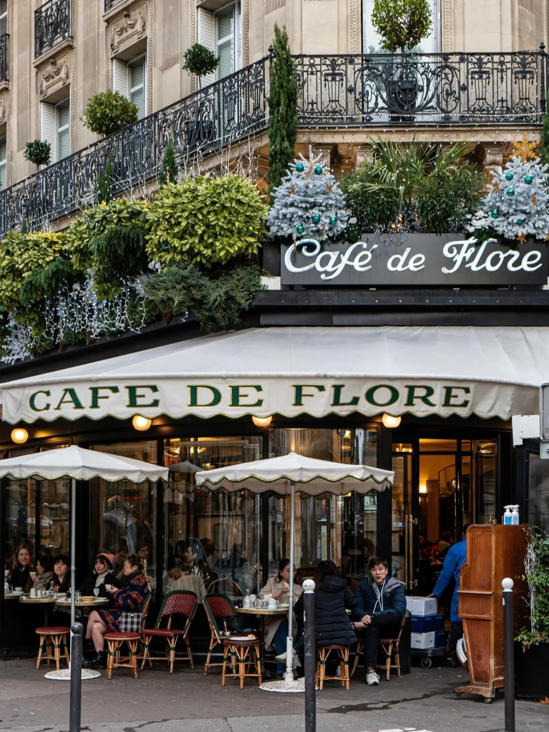 Paris Cafe Guide | 8️⃣ Must-Visit Cafés with Both Style and Taste