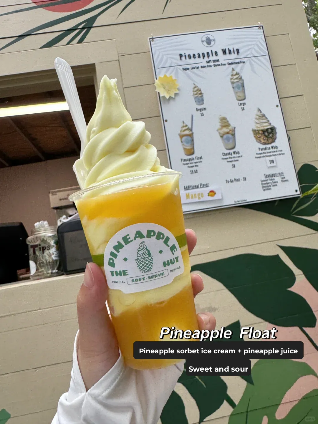 "Boston to Charleston, South Carolina: A Weekend Getaway [Food Edition]"